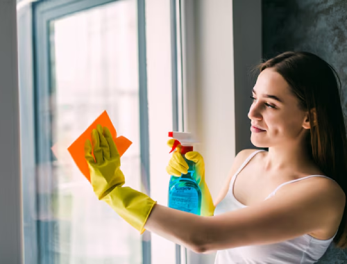 Professional Window Cleaning Melbourne