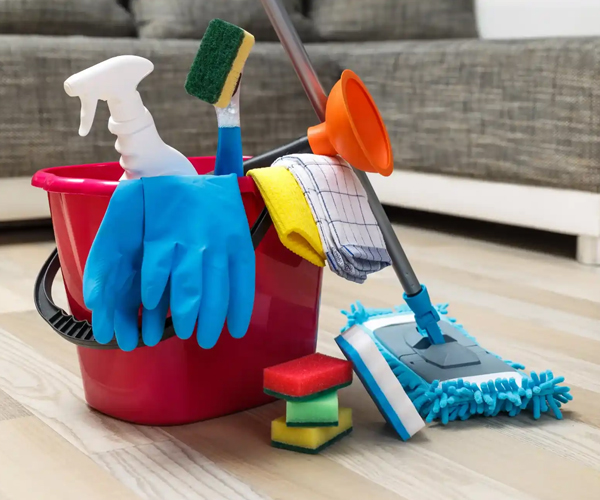 Professional House Cleaning Services